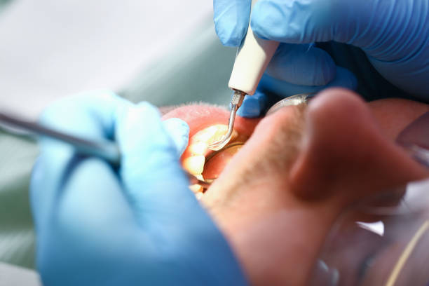 Best Emergency Dental Services for Seniors in Piney, AR